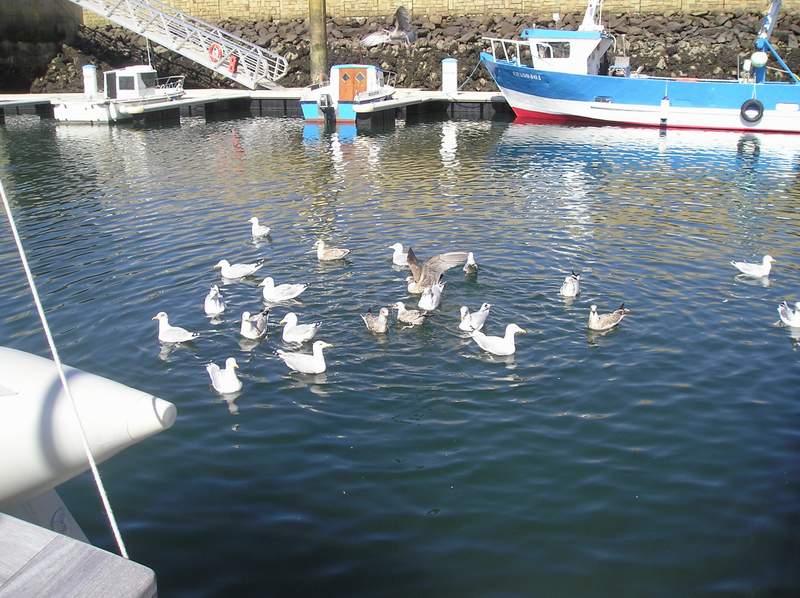 2005_ sept_104.jpg